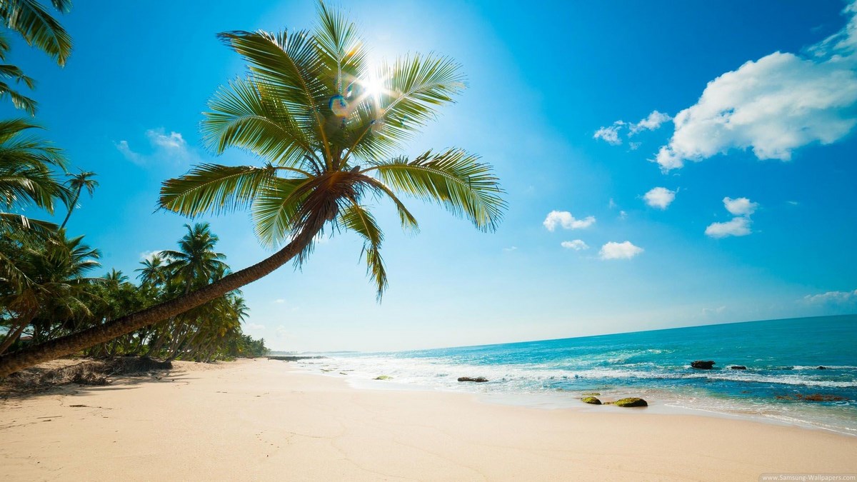 معرفی 5 ساحل تفریحی در جزیره کیش